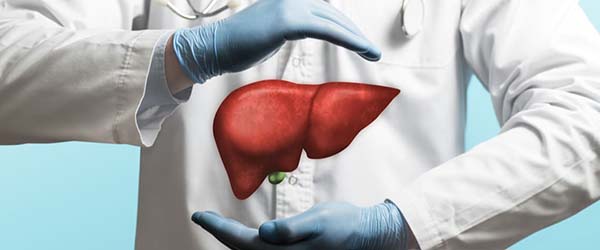 БАДы для поддержания функции печени 1